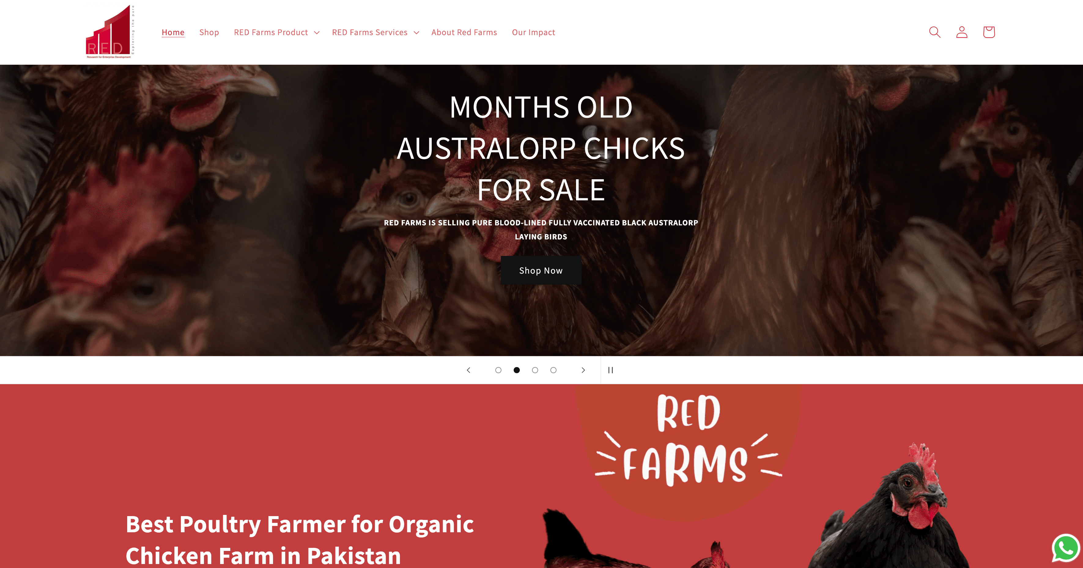 RED Farms — Poultry farm e-commerce site